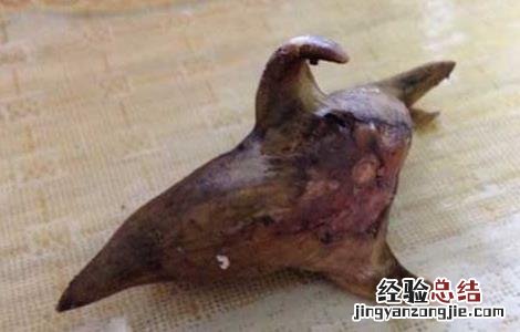 菱角不能和什么一起吃 菱角不能和什么一起吃,可以多吃吗?