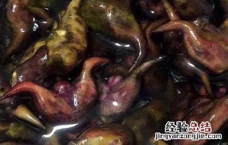 菱角吃多了会怎么样呢 菱角吃多了会怎么样