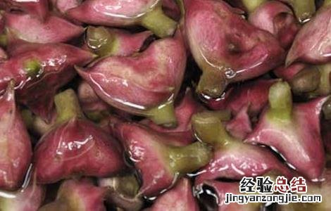 菱角可以生吃吗削皮吃么 菱角可以生吃吗