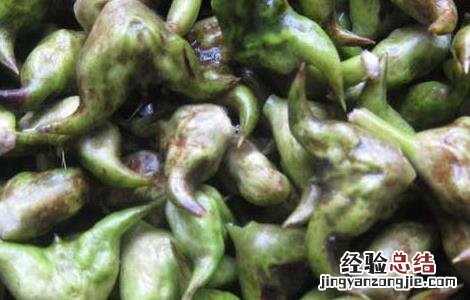 菱角可以生吃吗削皮吃么 菱角可以生吃吗
