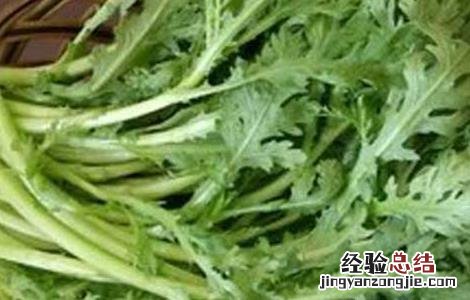 什么人不能吃茼蒿 什么人不能吃茼蒿苗