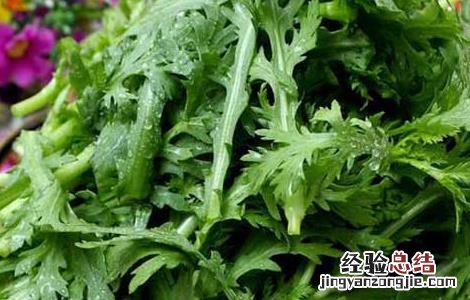 茼蒿不能和什么一起吃香哈网手机版 茼蒿不能和什么一起吃