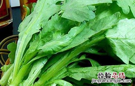 茼蒿不能和什么一起吃香哈网手机版 茼蒿不能和什么一起吃