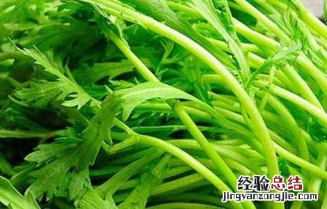 茼蒿不能和什么一起吃香哈网手机版 茼蒿不能和什么一起吃