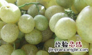 鸡皮果怎么腌制 鸡皮果腌制的方法