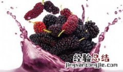 桑果汁 桑果汁怎样做