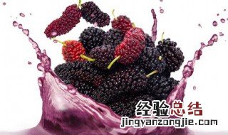 桑果汁 桑果汁怎样做