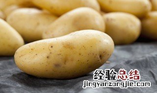 山药蛋有点发芽还可以吃吗 山药蛋有点发芽还能吃吗