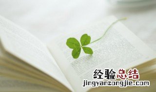 莫言名言名句 莫言名言名句经典语录摘抄