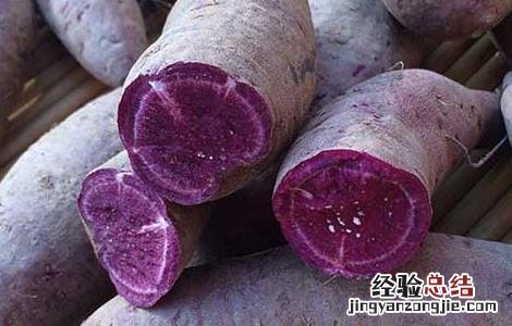紫薯发芽了还能吃吗? 紫薯发芽了还能吃吗