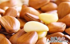 松子不能和什么一起吃,会中毒 松子不能和什么一起吃
