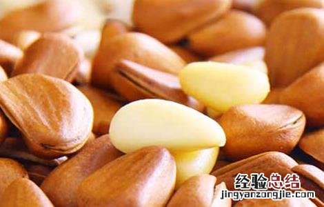 松子不能和什么一起吃,会中毒 松子不能和什么一起吃