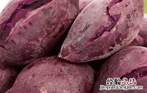 紫薯不能和什么一起吃香哈 紫薯不能和什么一起吃