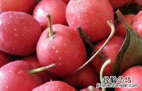 哺乳期能吃山楂吗,会不会回奶 哺乳期能吃山楂吗