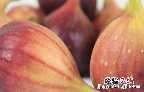 减肥可不可以吃无花果 减肥可以吃无花果吗