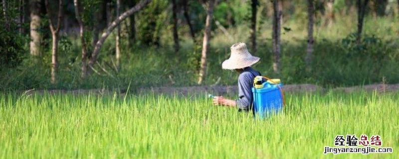 戊唑醇咪鲜胺使用禁忌 戊唑醇咪鲜胺注意事项