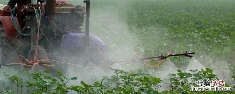 43戊唑醇用量视频 43戊唑醇用量