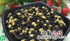 牵牛子的功效与作用 牵牛子的功效与作用有哪些