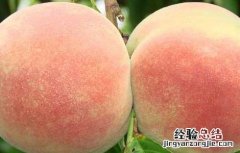 螃蟹和桃子能一起吃吗 螃蟹和桃子能一起吃吗 吃螃蟹竟有这些好处