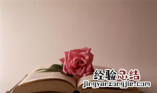 一个村的微信群名字 一个村的微信群名称
