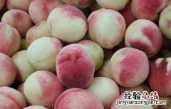 空腹可以吃桃子吗早上 空腹可以吃桃子吗