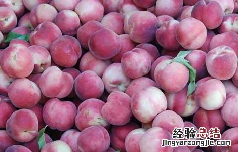 空腹可以吃桃子吗早上 空腹可以吃桃子吗
