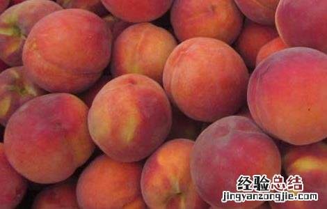 空腹可以吃桃子吗早上 空腹可以吃桃子吗