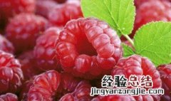 覆盆子吃了有什么好处 覆盆子吃了有什么好处和功效