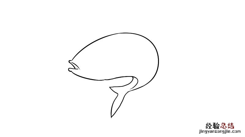 鲫鱼简笔画教程 鲫鱼简笔画图片鲫鱼怎么画