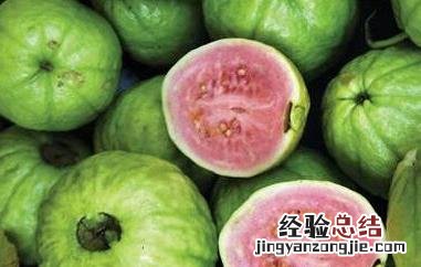 番石榴怎么吃 番石榴怎么吃籽能吃吗