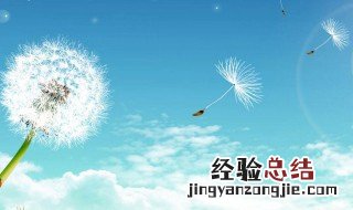 蒲公英花语是什么 蒲公英的花花语