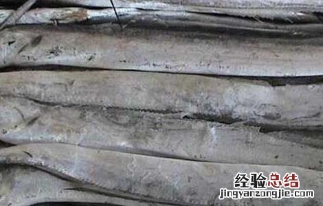 孕妇可以吃带鱼吗 孕妇可以吃带鱼吗?