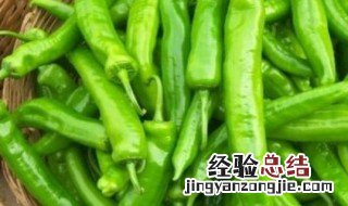 辣椒怎么吃 辣椒的做法介绍