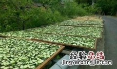 正宗黄瓜干怎么晒 晒黄瓜干的方法介绍