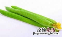 醋溜丝瓜的做法 醋溜丝瓜的做法窍门