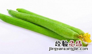 醋溜丝瓜的做法 醋溜丝瓜的做法窍门