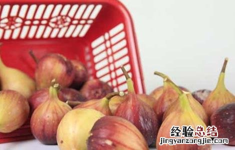哺乳期可以吃无花果吗 哺乳期可以吃无花果吗,宝宝会不会过敏
