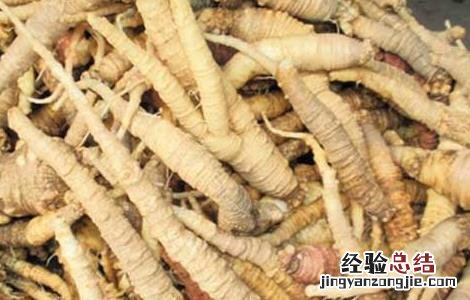 孕妇可以吃沙参吗 孕妇可以吃沙参吗炖鸡吗