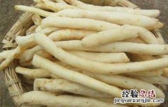 孕妇可以吃沙参吗 孕妇可以吃沙参吗炖鸡吗