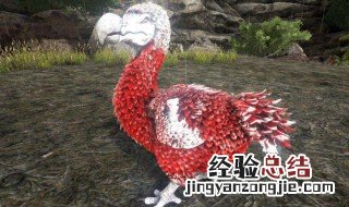 方舟渡渡鸟可以变大吗 方舟生存进化渡渡鸟如何变大