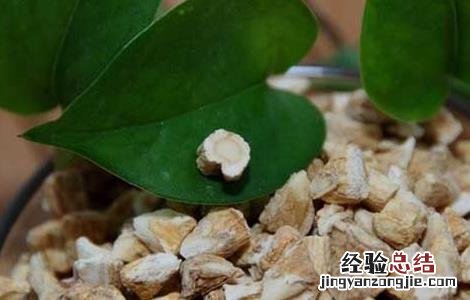 西洋参和枸杞能一起泡水喝吗 西洋参和枸杞能一起泡水喝吗