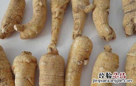 西洋参泡水喝的功效与作用禁忌 西洋参泡水喝有什么禁忌