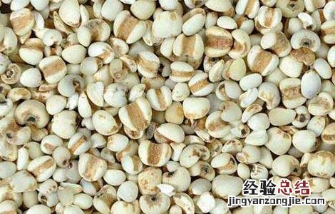 薏米不能和什么一起吃 薏米不能和什么一起吃会中毒