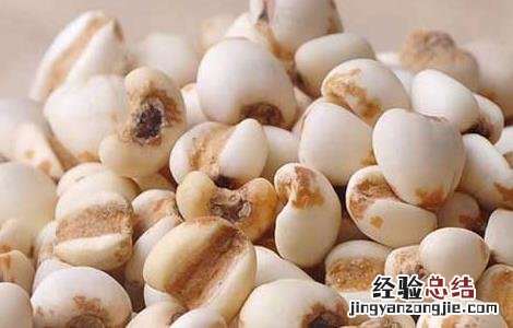 薏米不能和什么一起吃 薏米不能和什么一起吃会中毒