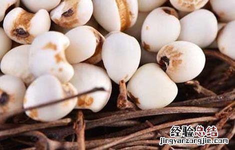 薏米不能和什么一起吃 薏米不能和什么一起吃会中毒