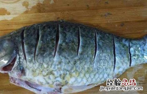 鲫鱼不能和什么一起吃香哈 鲫鱼不能和什么一起吃