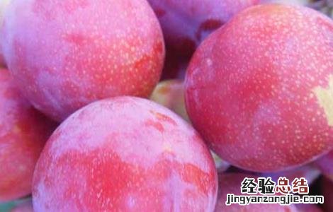 哺乳期可以吃李子吗? 哺乳期可以吃李子吗