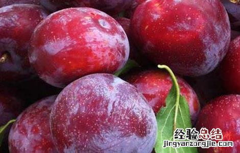 哺乳期可以吃李子吗? 哺乳期可以吃李子吗