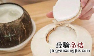 椰子肉怎么吃才好吃 椰子肉吃法