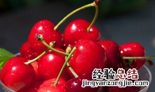 车厘子如何保存 车厘子如何保存时间长一点